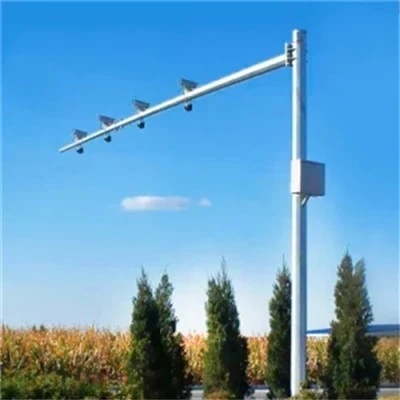 Single Monitor Pole